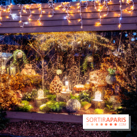 Photos : Village et illuminations de Noël de l'Hôtel de Ville 2020