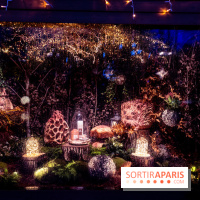 Photos : Village et illuminations de Noël de l'Hôtel de Ville 2020