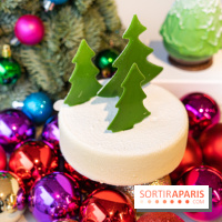 Photos : Les Bûches de Noël de Yann Menguy à la Goutte d'Or Pâtisserie 2020