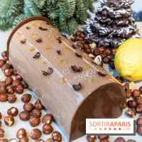 Photos : Les Bûches de Noël de Yann Menguy à la Goutte d'Or Pâtisserie 2020