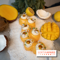 Photos : Les Bûches de Noël de Yann Menguy à la Goutte d'Or Pâtisserie 2020