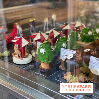 Photos : Wonderland Pâtisserie 