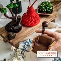 Photos : Wonderland Pâtisserie 