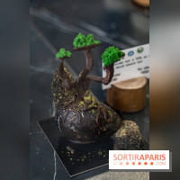 Photos : Wonderland Pâtisserie 