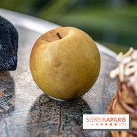 Le Meurice à la Maison