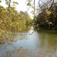 Rosa Bonheur de la Porte Jaune, les photos