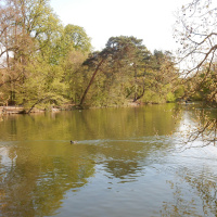 Rosa Bonheur de la Porte Jaune, les photos