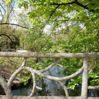 Rosa Bonheur de la Porte Jaune, les photos