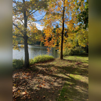 Rosa Bonheur de la Porte Jaune, les photos