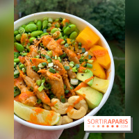 Pokawa - Veggie Chicken Bowl