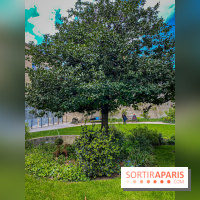 Les jardins des Archives, un écrin de verdure au cœur de Paris