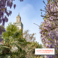La Mosquée de Paris et son jardin en fleurs