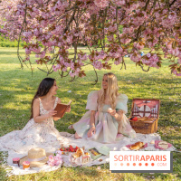 Le Parc de Sceaux et ses cerisiers en fleurs