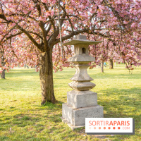 Le Parc de Sceaux et ses cerisiers en fleurs