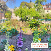 Les Arènes de Lutèce à Paris - fotor 1743591951459