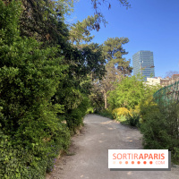 Les Arènes de Lutèce à Paris