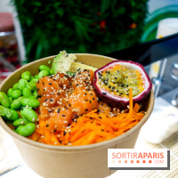 Pokelife, les photos