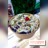 Pokelife, les photos