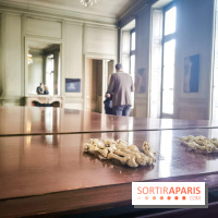 Clearing, l'exposition hors-les-murs inédite de la galerie belgo-newyorkaise - nos photos