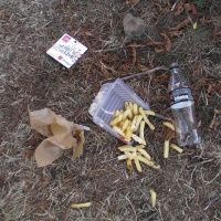 Rock en seine 2009 -
L'accident bête
