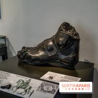 Musée Carnavalet rénové et repensé, les photos 