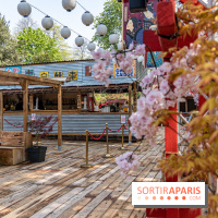 Hanami Paris, Ła terrasse éphémère du Trocadéro
