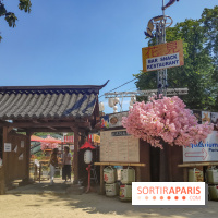 Hanami Paris, Ła terrasse éphémère du Trocadéro - IMG 20230616 120439
