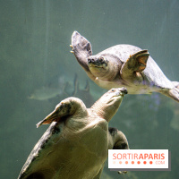 L'Aquarium Tropical de la Porte Dorée