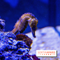 L'Aquarium Tropical de la Porte Dorée