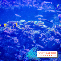 L'Aquarium Tropical de la Porte Dorée