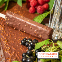 Frissons d'été, les glaces bâtonnets de la Maison du Chocolat par la Glacerie 2021