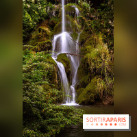 Le Parc de Bagatelle - cascade