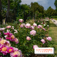 Le Parc de Bagatelle