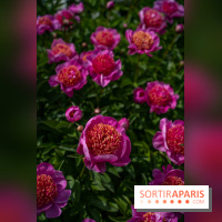 Le Parc de Bagatelle