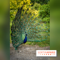 Le Parc de Bagatelle