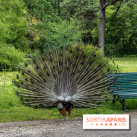 Le Parc de Bagatelle