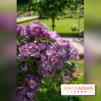 Le Parc de Bagatelle