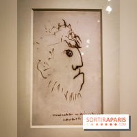 Dans l'intimité du génie, l'exposition de la Maison de Victor Hugo - nos photos 