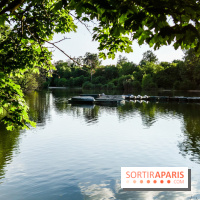 Rosa à l'Est - Porte Jaune, nos photos