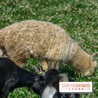 Parrot World, le parc animalier immersif d'Île-de-France