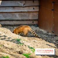 Parrot World, le parc animalier immersif d'Île-de-France