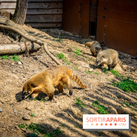 Parrot World, le parc animalier immersif d'Île-de-France