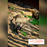 Parrot World, le parc animalier immersif d'Île-de-France