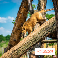 Parrot World, le parc animalier immersif d'Île-de-France