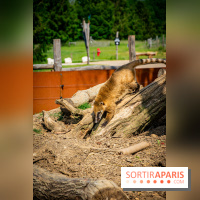 Parrot World, le parc animalier immersif d'Île-de-France