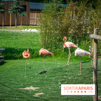 Parrot World, le parc animalier immersif d'Île-de-France