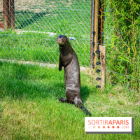 Parrot World, le parc animalier immersif d'Île-de-France