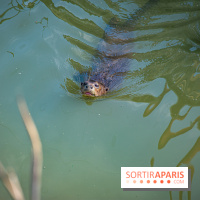 Parrot World, le parc animalier immersif d'Île-de-France