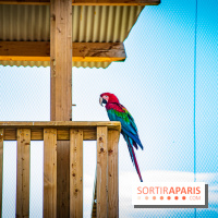 Parrot World, le parc animalier immersif d'Île-de-France