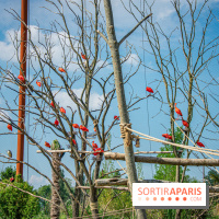 Parrot World, le parc animalier immersif d'Île-de-France